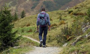 Doctors Explain How Hiking Actually Changes Our Brains