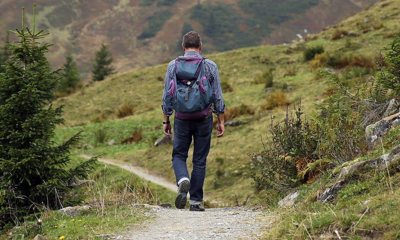 Read more about the article Doctors Explain How Hiking Actually Changes Our Brains